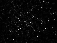 m41 3-19-04-022